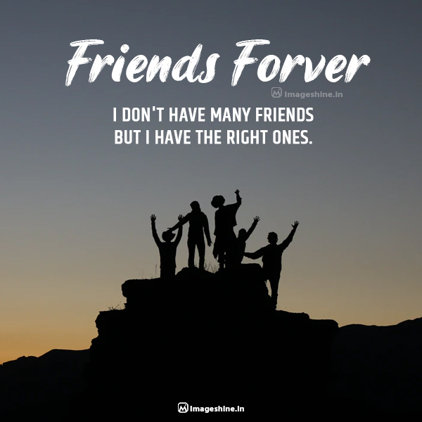 good quotes about friendship