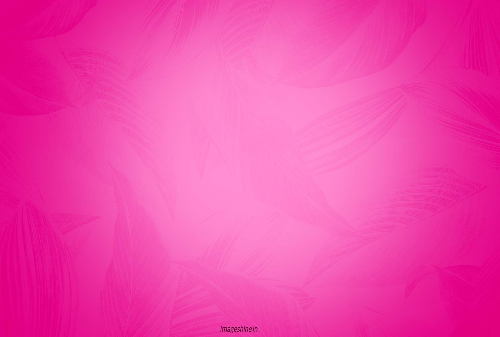 Best Pink Color HD Wallpaper Free Download For Editing