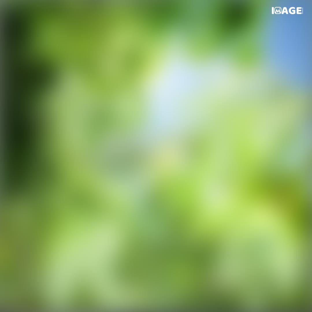 Blur Background HD Images