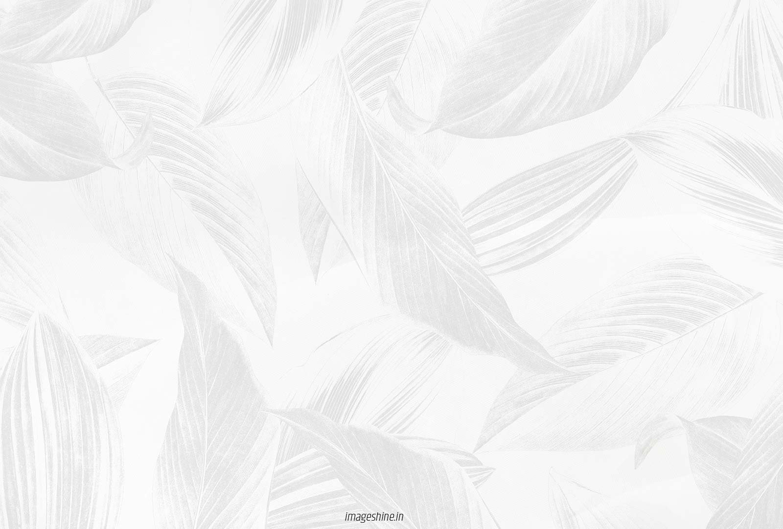 White Texture Abstract Background Images