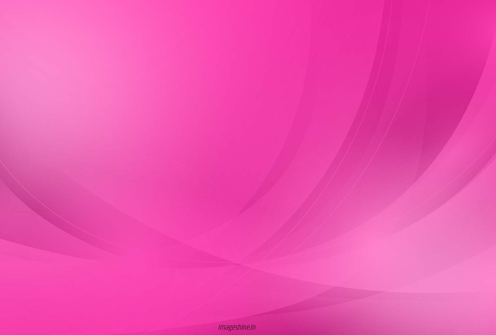 Pink Color HD Wallpaper Free Download